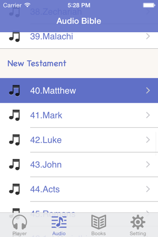 NIV Bible (Audio & Book) - náhled