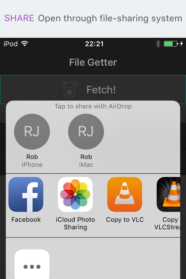 File Getter screenshot 3