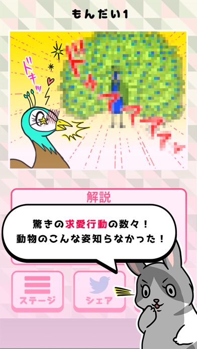 どうぶつラブ screenshot 3