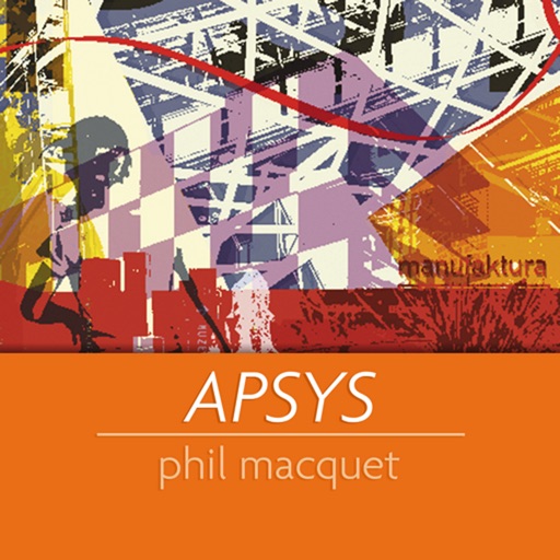 Apsys 20 ans icon