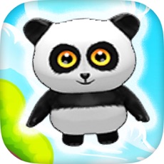 Activities of Panda Happy Dash