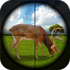 Activities of Best Shooter Deer:Hunting For