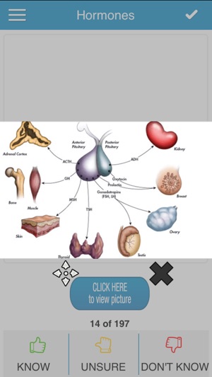 MCAT Biology Cram Cards(圖3)-速報App