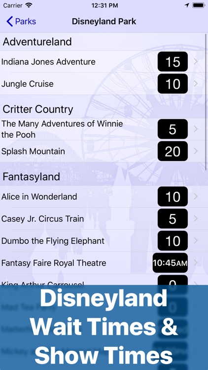 Wait Times at Disneyland