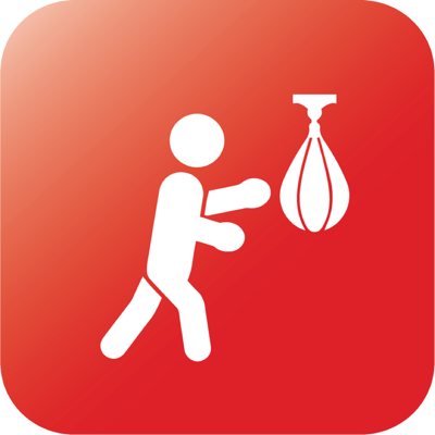 Speed Bag Boxing Trainer