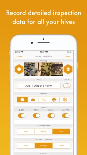 BeePlus Beekeeping Manager(圖7)-速報App