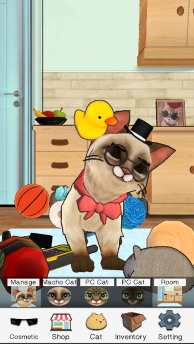 Macho Cat : Pet Cat Simulator screenshot 3