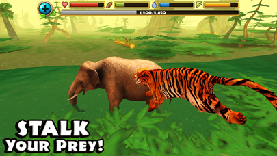 Tiger Simulator Screenshot 1
