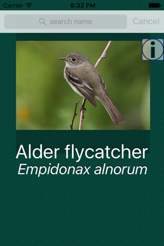 UK Birds Dictionary Pro screenshot 2