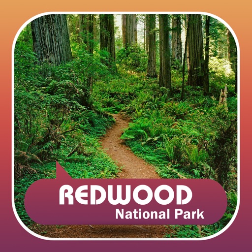 Visit Redwood National Park