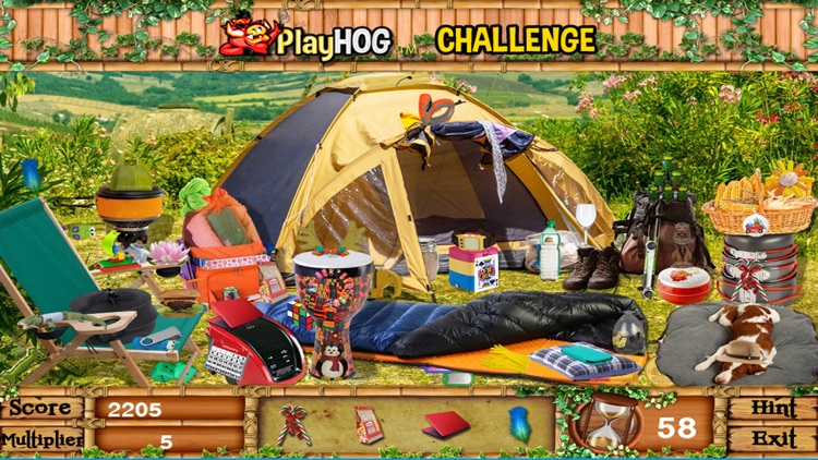 Gone Camping Hidden Objects