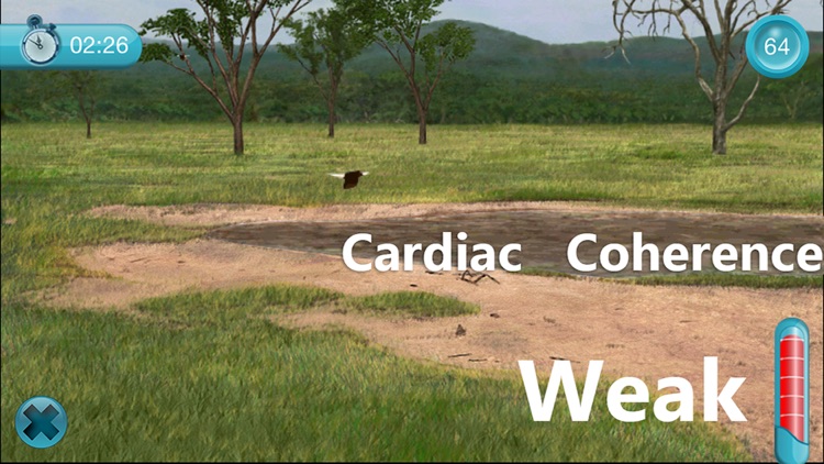 Cardiac Coherence: Safari