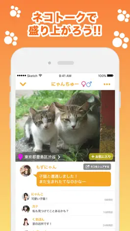 Game screenshot 近所の ネコや ノラネコを共有するアプリ『ねこ さがし』 apk