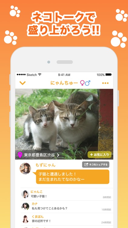 近所の ネコや ノラネコを共有するアプリ『ねこ さがし』