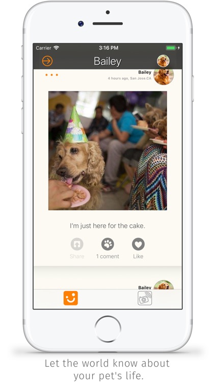 Dudepet screenshot-4