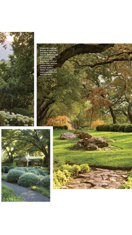 Flower Mag screenshot-3