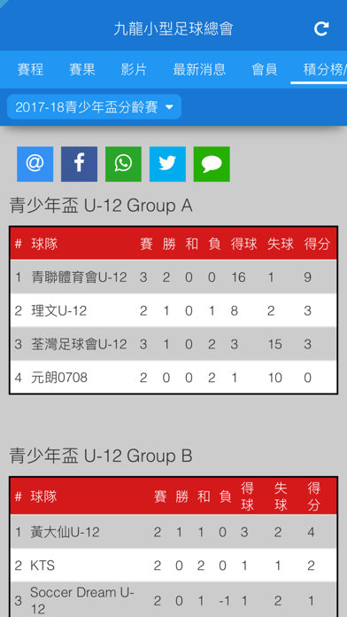 九龍小型足球總會 screenshot 4