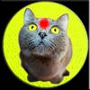 Red Dot For Cat Joke