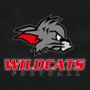 Kirchdorf Wildcats