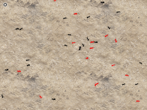 Sights and Sounds: Ants screenshot 3