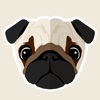 Funny Dog Sticker pack for iMessage