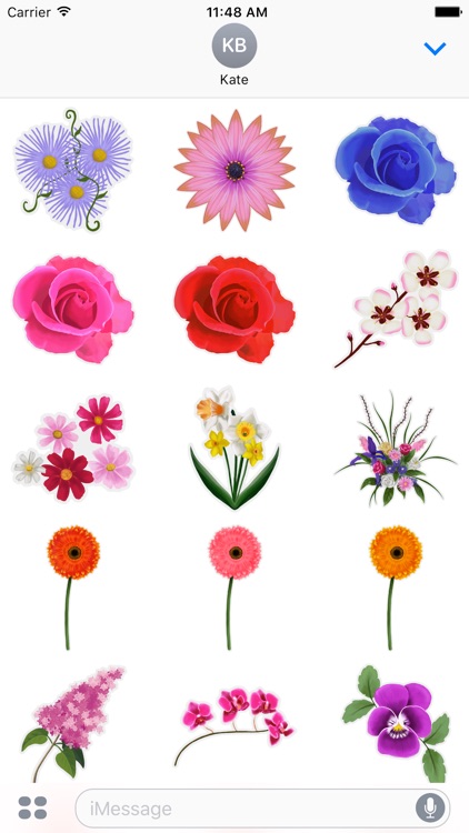 Greetings Flowers Sticker Pack