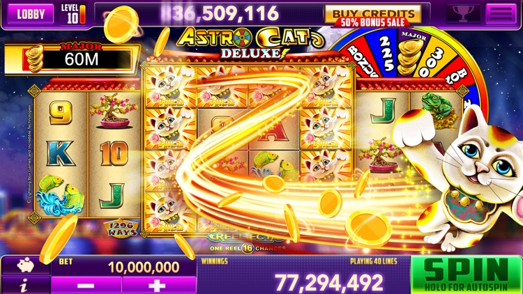 Big Bonus: Slot Machine Games screenshot-3