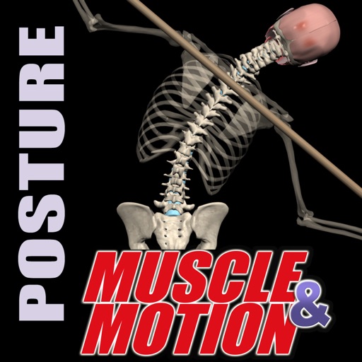 Muscle and Motion - Posture