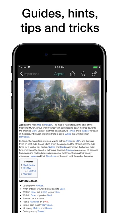 Pocket Wiki for Paragon