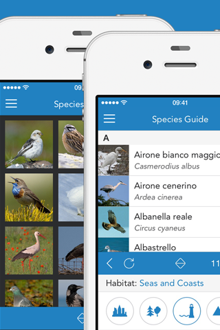 iKnow Birds 2 PRO - Europe screenshot 2