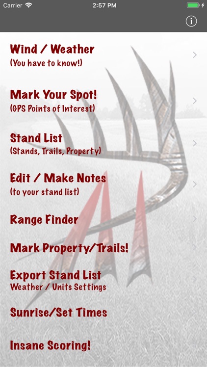 Antler Insanity