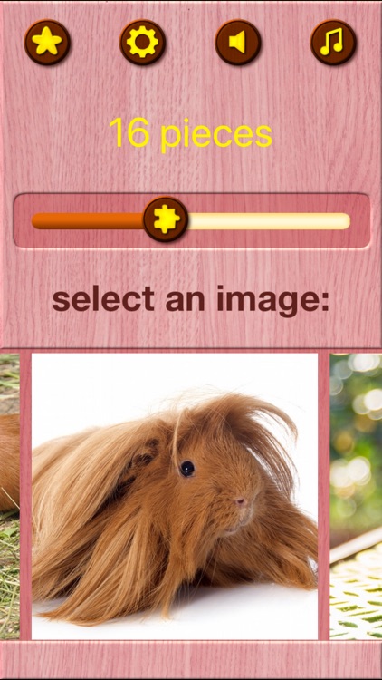 Guinea Pig Kids Jigsaw Puzzle screenshot-3