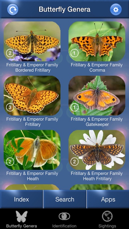 Butterfly Id - UK Field Guide