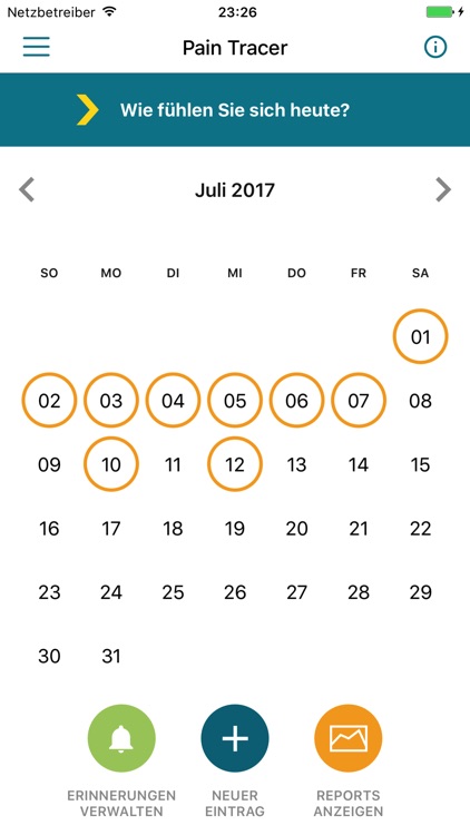 Schmerztagebuch - Pain Tracer