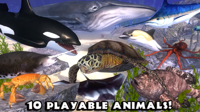 Ultimate Ocean Simulator screenshot1