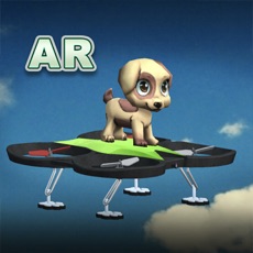 Activities of AR Hover Pets