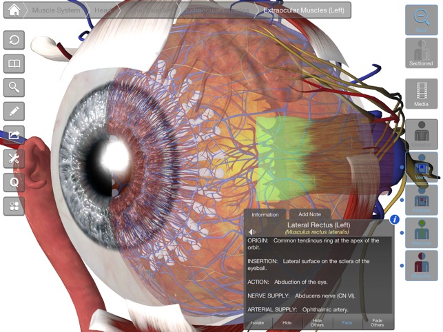 Essential Eye(圖2)-速報App