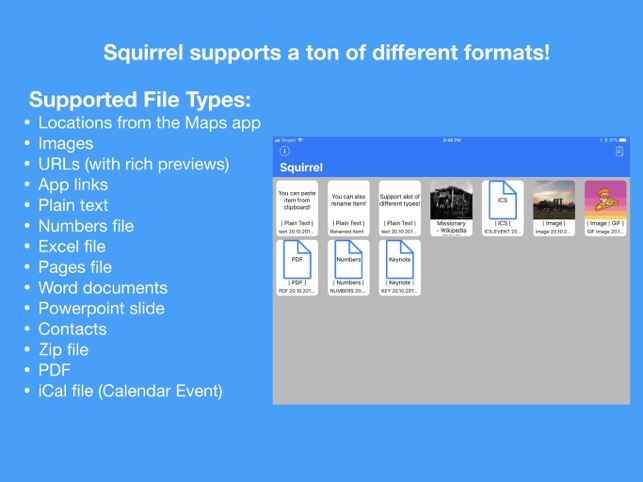 Squirrel(圖3)-速報App