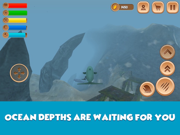 Beluga Whale Simulator