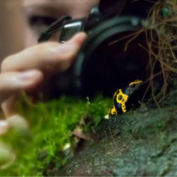 Wiesenfee's Naturfotografie