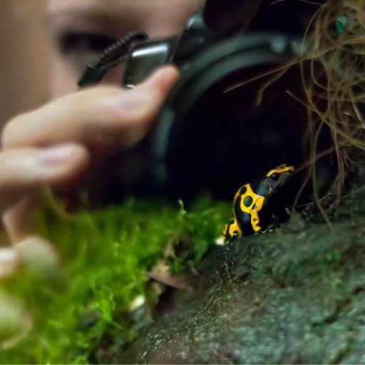 Wiesenfee's Naturfotografie