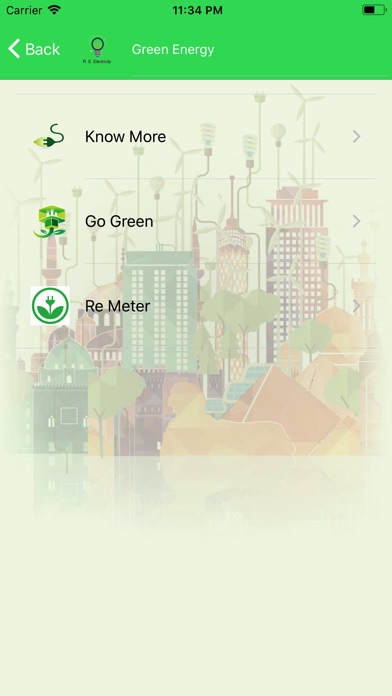 Cairo Go Green screenshot 3