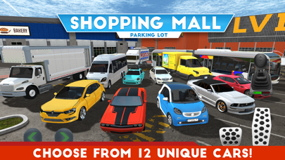 Shopping Mall Parking... screenshot1