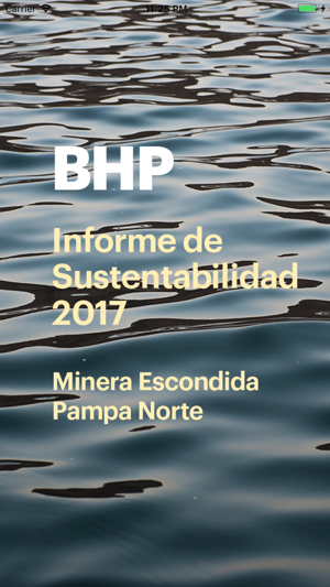 BHP Chile Informe 2017