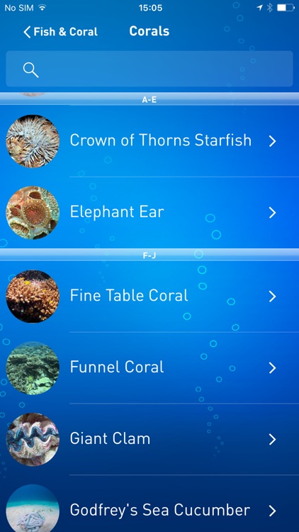 Koh Tao Dive Guide screenshot-3