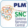 PLM SNC Sudamérica