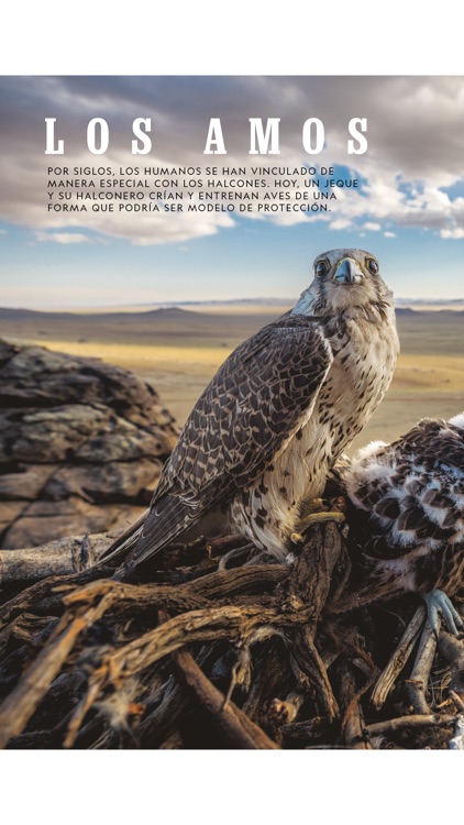 National Geographic en Español Revista screenshot-5