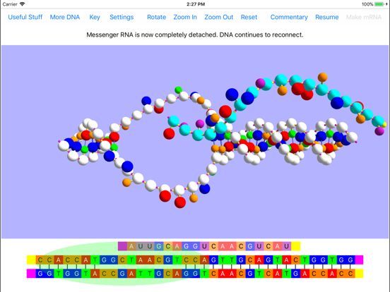 OnScreen Gene Transcriptionのおすすめ画像5