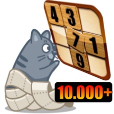 Activities of Sudoku Kitty - More Than 10.000+ Games