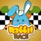Rabbit Race: Fun Racing Games